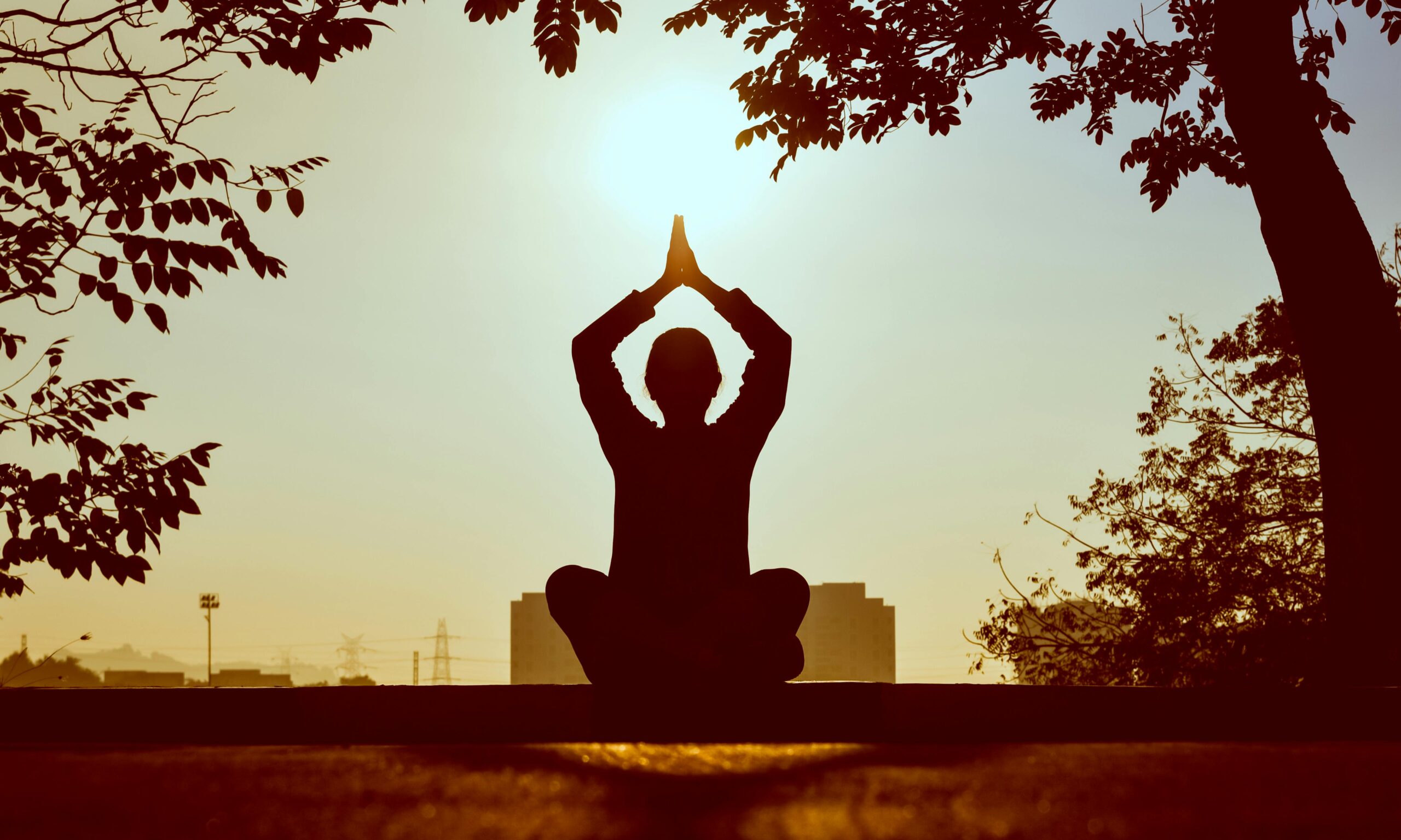 The Power of Yoga: Unlocking Physical, Mental, and Spiritual Well-being